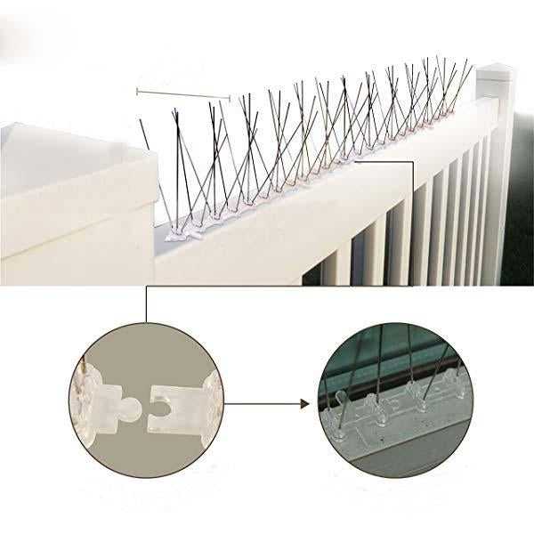 Stainless Steel Protection Against Bird Spines