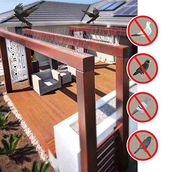 Stainless Steel Protection Against Bird Spines