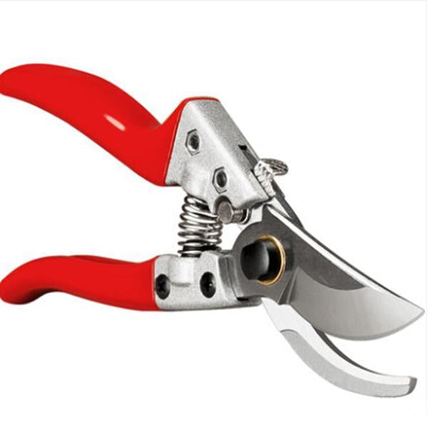 Fruit Tree Pruning Shears